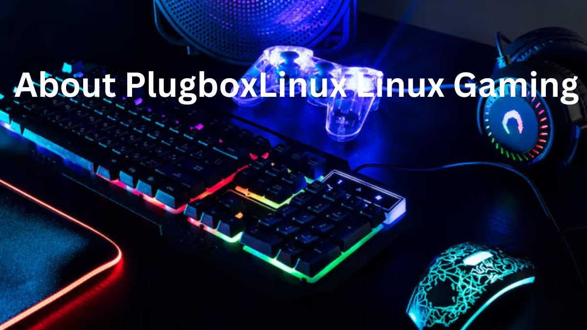 About PlugboxLinux Linux Gaming Experience