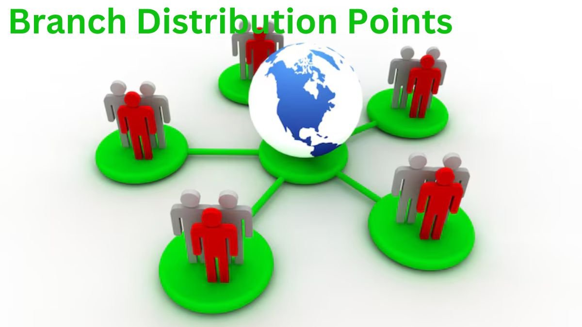 Branch Distribution Points Linking Networks, Empowering Growth