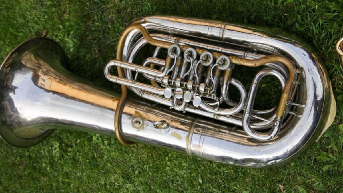 Sousaphone History, Design, Sound, and Cultural Impact in Brass Instrumentation