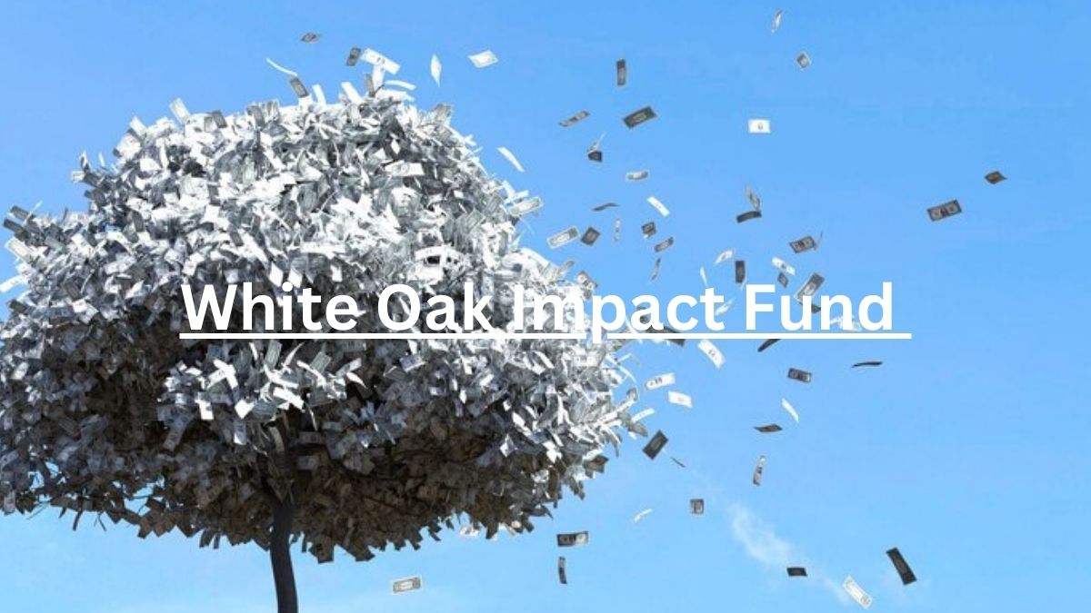 White Oak Impact Fund Journey to Social Change