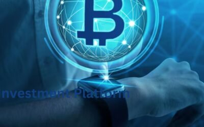 https://noticiascripto.site/wberone-pagina-de-inversion-paypal-payeer-bitcoin/